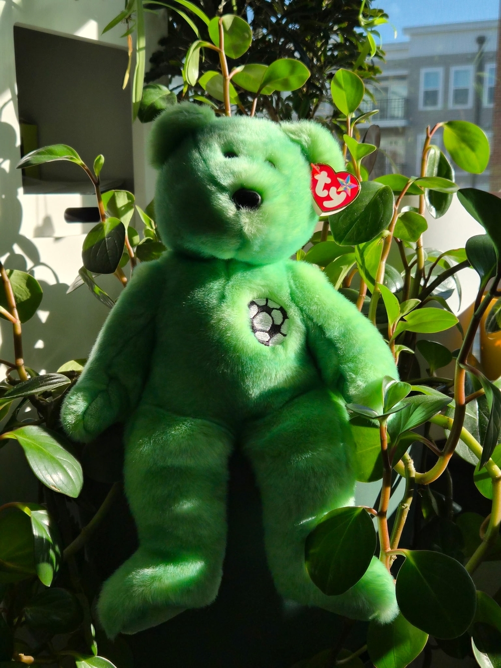 Beanie Baby Kicks Large